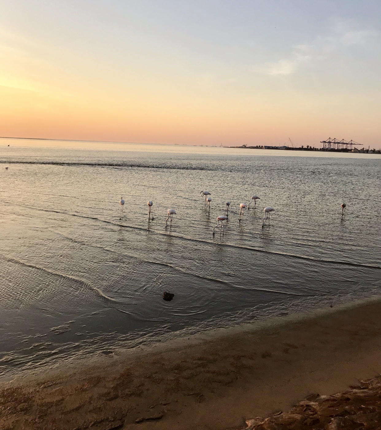 Namibia: A Guide to Walvis Bay